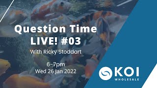 Koi Question Time LIVE! #03
