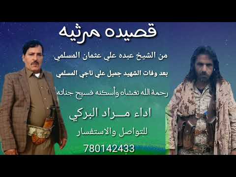 اقوا وأجمل قصيده مرثيه كلمات الشيخ عبده علي عثمان اداء مراد البركي