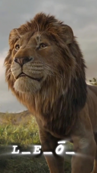 MUFASA : THE LION KING 👑 #fypviralシ #foryoupageシ #mufasa #mufasathelionking #disney #usa #lion #sci