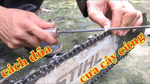 chia sẻ cách dũa xích stihl cưa cây cứng thủ công 2021| hoai han vlog