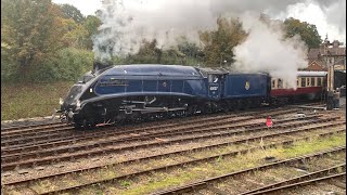 Bluebell Railway Giants of Steam | 12 October 2024