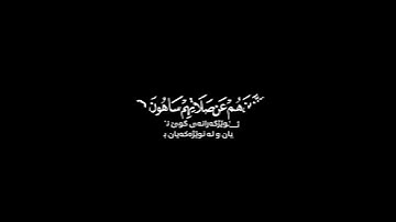 أرأيت الذي يكذب بالدين ~ كرومات قرآن كريم ~ عبد الرحمن مسعد حالات واتس