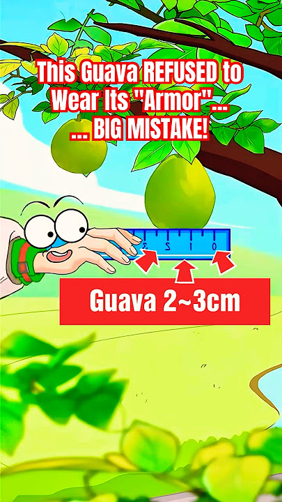 This Guava REFUSED to Wear Its 'Armor'... BIG MISTAKE! #guava #animation