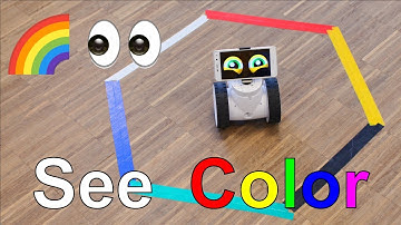 Fable Spin Sees Color!🌈👀