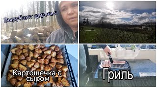 Пешком в Магазин*Я без Машины *Вырубают Деревья*Обнималась *Погода ужас*Картофель с Сыром и Гриль*