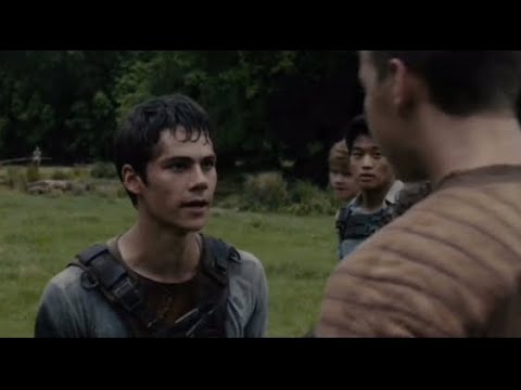 Meme Jogos Vorazes e Maze Runner - MIX DA MEL