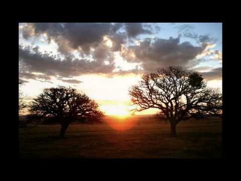 Awakening Chi - Buedi Siebert