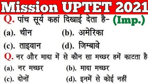 UPTET 2021 || Junior Super TET EVS Most Important Questions || Super TET