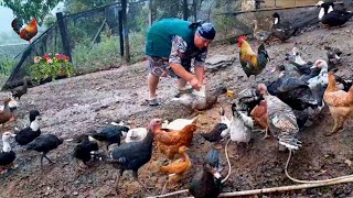 Au village, la grand-mère cuisinait du canard aux noix et du riz au lait screenshot 4