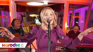 Danijela - Čovjek bez adrese [narodni LIVE premijera]