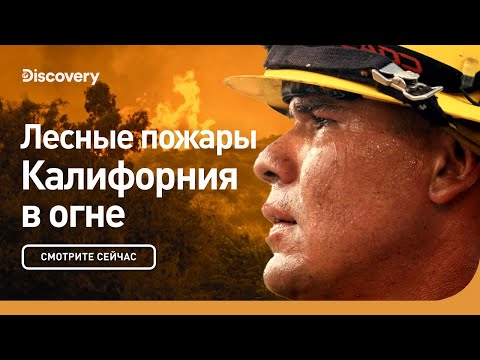 Видео: Лесные пожары в Калифорнии влияют на глаза и дыхательную систему домашних животных