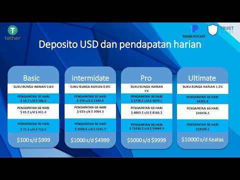 video terther USDT bahasa indonesia