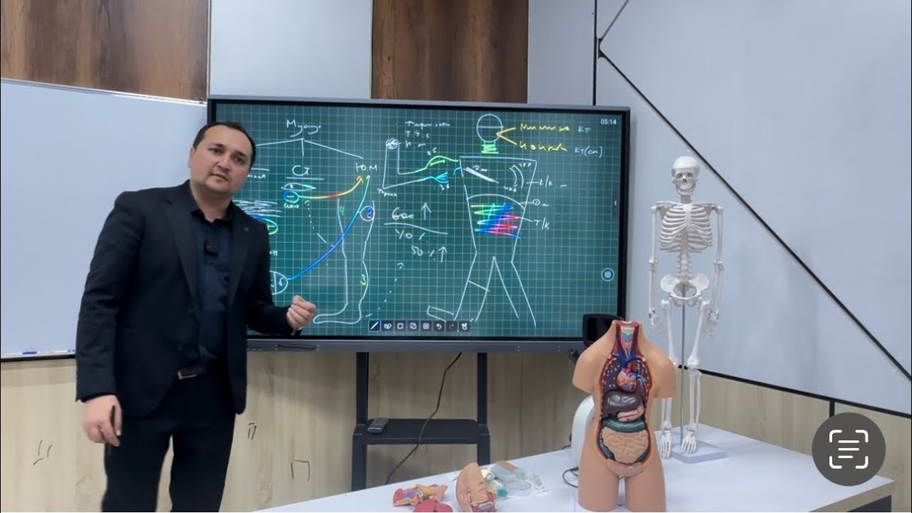 Odam tanasidagi Muskullar xaqida ma’lumot ! (Anatomiya 6-dars)