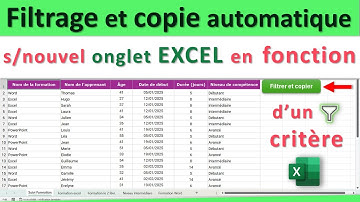 Tutoriel Excel filtrage et copie automatique des données sur un nouvel onglet 👍