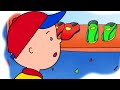 Caillou English Full Episodes | Caillou's New Shoes | Cartoon Movie | Cartoons for Kids