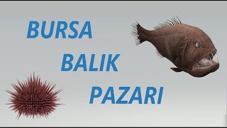 BURSA BALIK PAZARI OSMANGAZİ PAZAR PAZARI-FISH MARKET BURSA TURKEY