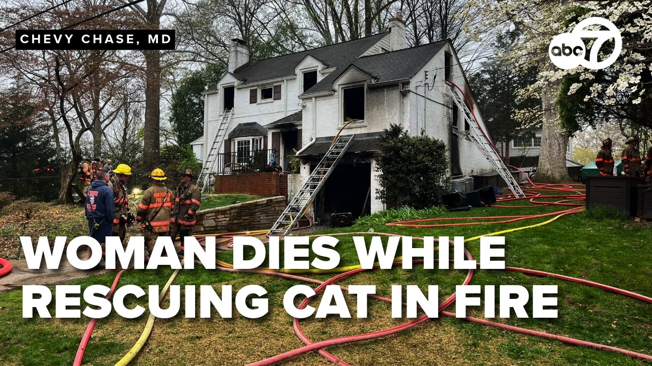 Woman dies after going back into to burning Maryland home to rescue cat ...