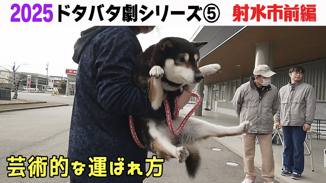 2025狂犬病予防注射会場のドタバタ劇⑤ 射水市前編