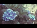 山田将司 - きょう、きみと 【Lyric Video】