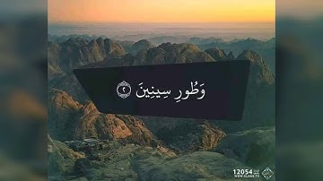 سورة التين بصوت الشيخ رعد الكردي