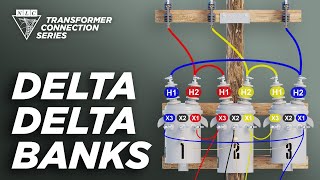 Delta - Delta Banks - Explained Net Worth