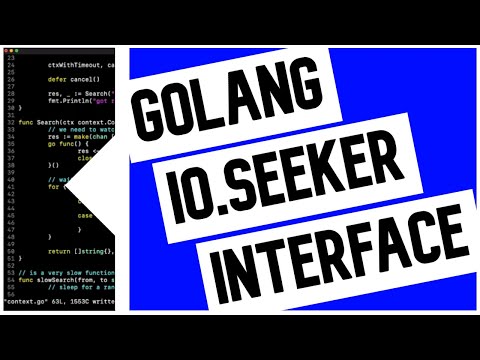 Go (Golang) io.Seeker Interface