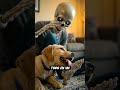 ¿Por qué tu perro te LAME los pies? Esto explica por qué 🐶 #shorts #viralshorts