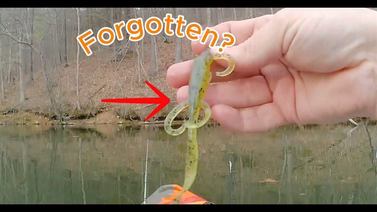 BASS FISHING in the MOUNTAINS with FAMILY!