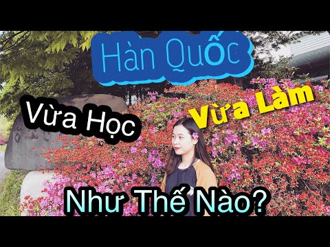 Video [DU HỌC HÀN QUỐC]: Vlog8: DU HỌC HÀN QUỐC VỪA HỌC VỪA... - YouTube
