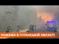 Горит прямо на фронте. Один военный погиб при пожаре в Луганской области, еще двое - с ожогами