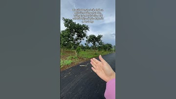 700m2 đất đẹp sẵn thổ cư. Đất thuộc Lộc Đức - Bảo Lâm - Lâm Đồng. Lhe Nga: 0933324449