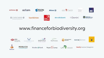 Pledge signatories call on other financial institutions to join