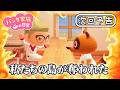 【次回予告】パンダ家族の日常 第200話「私たちの島が奪われた」【2026年7月24日(金)18時～プレミア公開】