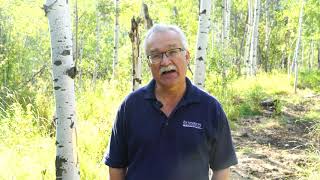 Landscapes — Steve Daniels, Utah State University