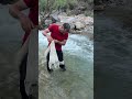 Caught and released back fish into water #fishing #netfishing