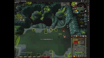 Duo Olm Mage Running