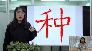 Easy Chinese Writing Course 383 “种”
