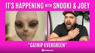 Catnip Evergreen | It&#39;s Happening