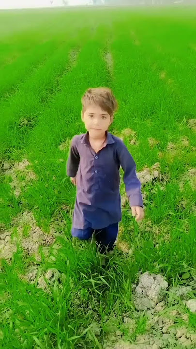 action very hot #subscribe to my channel Fahad Mustafa #youtube short video