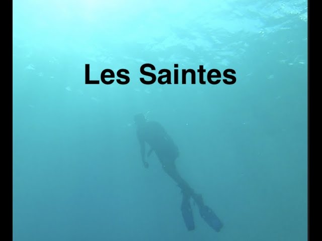 Les Saintes