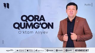 O'ktam Aliyev - Qora qumg'on (audio 2022)