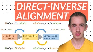 Direct-Inverse Alignment in 7 Different Languages