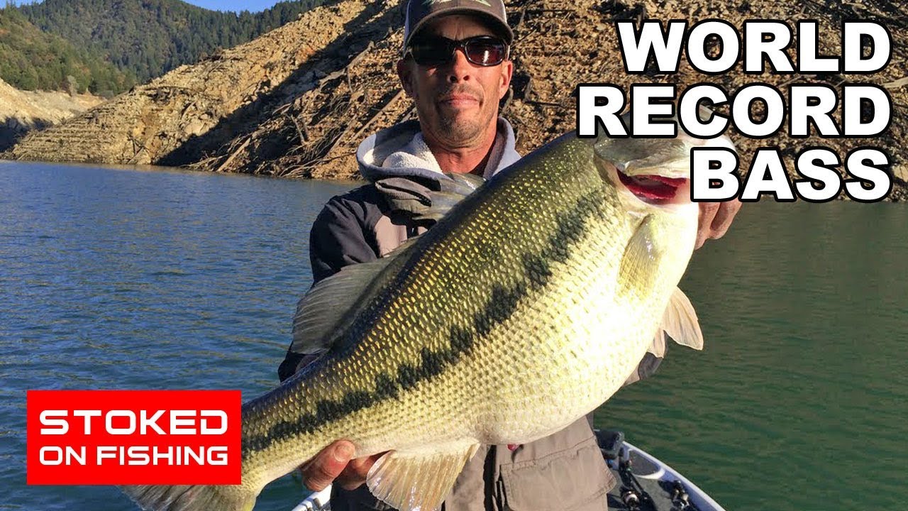 World Record Bass