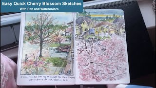 Life is Wonderful: Sketch Cherry Blossoms Outside My Windows With Ink and Watercolors
