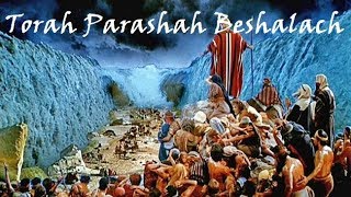 #16 - Torah Parashah Beshalach (sent forth)