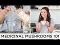 BENEFITS OF MEDICINAL MUSHROOMS 🍄+ my top 4 favorites