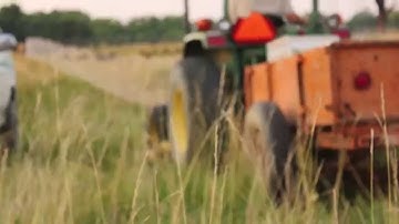Indiana Grown Eggs From Seven Sons