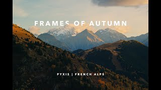 Frames Of Autumn Shot On Blackmagic Pyxis Open Gate 32