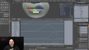 Modo 13.2 User Gradients | Animation & Rigging