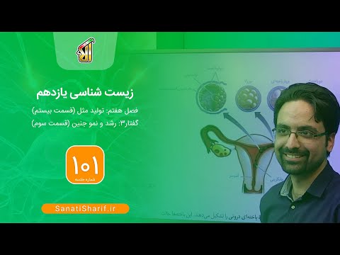 تصویری: حفره بلاستوسیست به چه چیزی تبدیل می شود؟